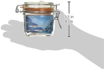 swift Faringdon 17850561 Mini Clip Jar Terrine 200g