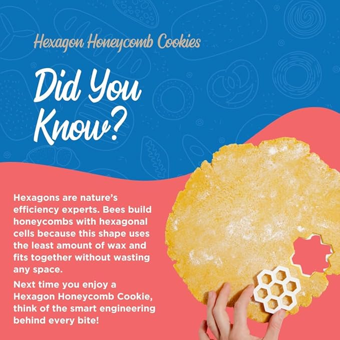 BāKIT Box Hexagon Honeycomb Sugar Cookie Decorating Kit – STEM Baking Gift for Kids Ages 5–12, Homeschool Geometry & Bee Habitat Activities, Educational Cookie Kit for Boys & Girls