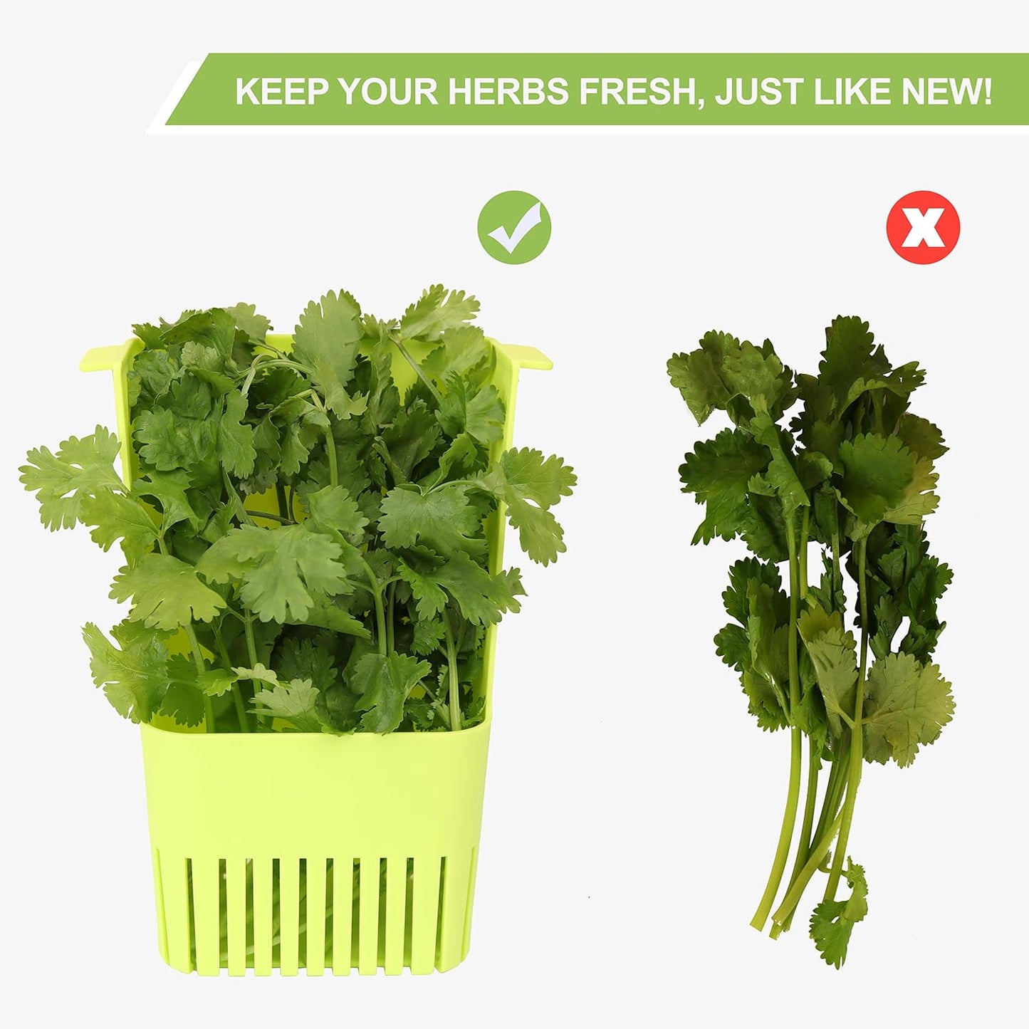Fresh Herb Keeper for Refrigerator, Clear BPA-Free Herb Saver, Storage Container for Cilantro, Parsley, Thyme, Mint & Asparagus, Preserver Keeps Fresh Herbs for 3 Times Longer, Green & Orange