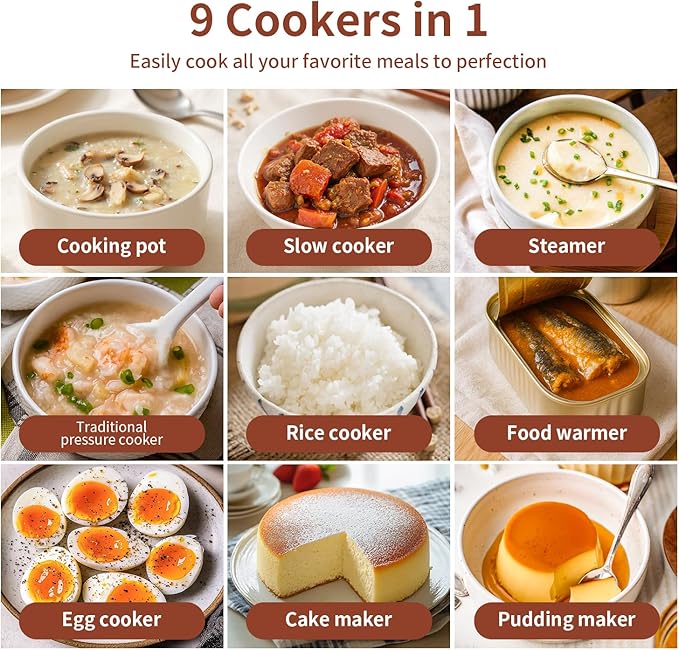 6 Quart Electric Pressure Cooker, 9-in-1 Stainless Steel Multi Cooker Pot, Rice Cooker, Slow Cooker, Food Pressure Cooker with Safety Lock, Auto Release, Delay Timer, Intelligent Presets