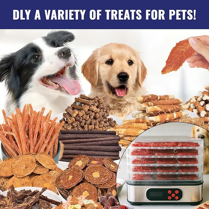 Food Dehydrator Machine, Stainless Steel Dehydrater for Fruit Herb,5 Stackable Trays, Digital Adjustable Timer & Temperature Control, Dehydrator for Beef,Meat, Fruits, Mushroom, Dog Treats