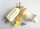 12 cavity mold stainless steel popsicle mold metal ice pop molds bpa free -ice Cream Ice Lolly Popsicle Mold pop molds with wooden sticks-ice pop maker molds popsicle mold stainless steel