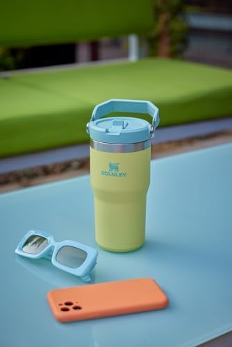 STANLEY IceFlow 2.0 Flip Straw Tumbler with Handle 20 oz | Twist On Lid and Flip Up Straw | Leakproof Water Bottle | Insulated Stainless Steel | BPA-Free | Chili Red
