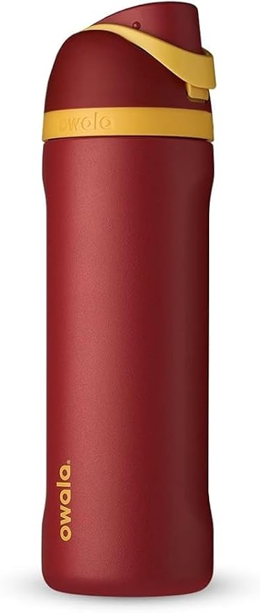 Owala Harry Potter FreeSip Insulated Stainless Steel Water Bottle with Straw, BPA-Free Sports Water Bottle, Great for Travel, 24 Oz, Gryffindor