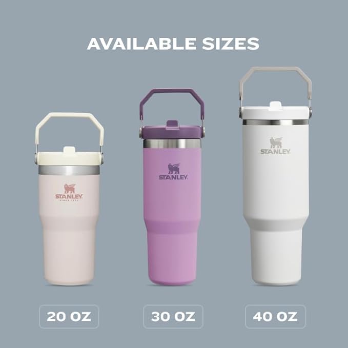 STANLEY IceFlow 2.0 Flip Straw Tumbler with Handle 30 oz | Twist On Lid and Flip Up Straw | Leak Resistant Water Bottle | Insulated Stainless Steel | BPA-Free | Violet Blossom