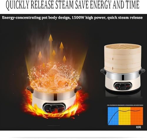 1500W Electric Food Steamer | 2-Tier Bamboo Steamer with 60-Min Timer | Auto Shut-Off & Boil Dry Protection