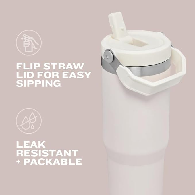 STANLEY IceFlow 2.0 Flip Straw Tumbler with Handle 20 oz | Twist On Lid and Flip Up Straw | Leakproof Water Bottle | Insulated Stainless Steel | BPA-Free | Meadow