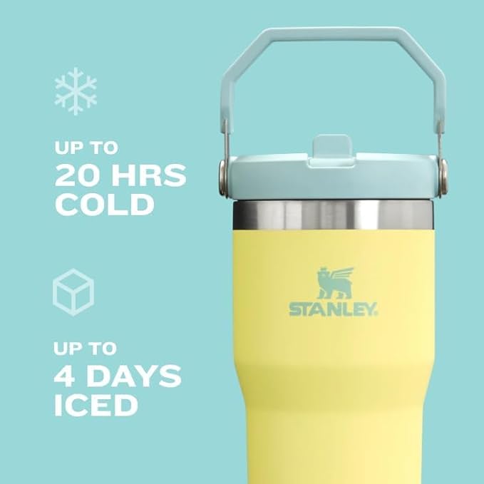 STANLEY IceFlow 2.0 Flip Straw Tumbler with Handle 30 oz | Twist On Lid and Flip Up Straw | Leak Resistant Water Bottle | Insulated Stainless Steel | BPA-Free | Pistachio