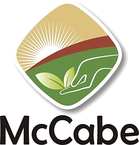 McCabe Organic Brown Rice Flour - Brown Rice Flour Organic | Rich with Fiber & Minerals | USDA and CCOF Certified | Product of USA | 1Lb (Pack of 2)