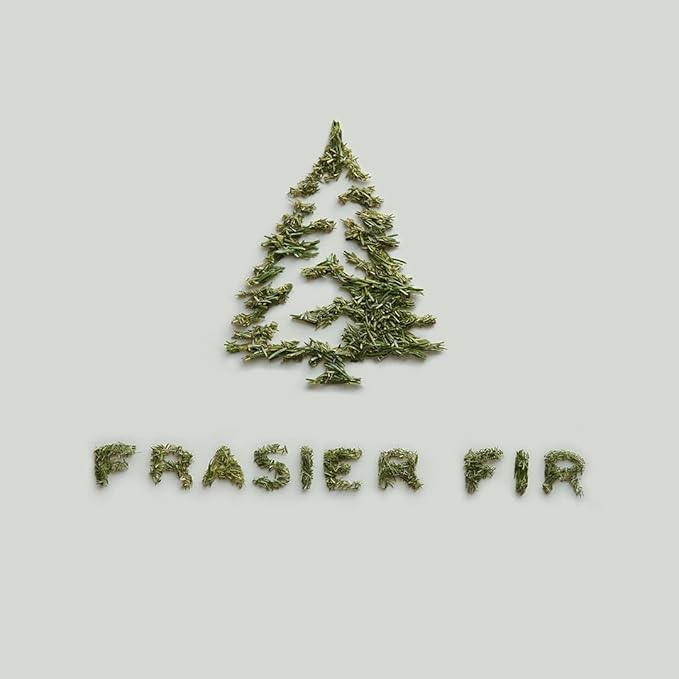 Thymes Frasier Fir Reed Diffuser Set – Includes Reeds, Fragrance Oil, and Frosted Glass Bottle – Fragrance Oil Diffuser – Room Fresheners – Luxury Home Decor – Silver (Statement, 4 fl oz)