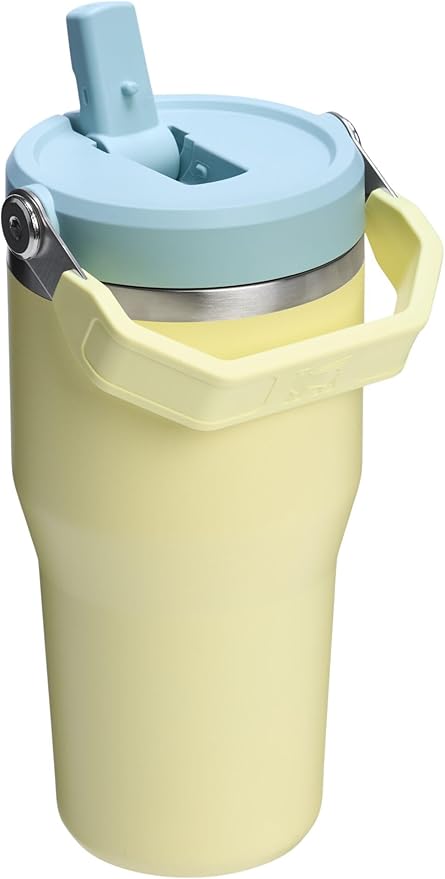 Stanley IceFlow 2.0 Flip Straw Tumbler with Handle 20 oz | Twist On Lid and Flip Up Straw | Leak Resistant Water Bottle | Insulated Stainless Steel | BPA-Free | Pomelo