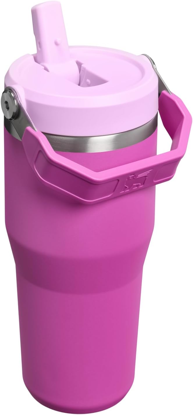 STANLEY IceFlow 2.0 Flip Straw Tumbler with Handle 14 oz | Twist On Lid and Flip Up Straw | Leakproof Water Bottle | Insulated Stainless Steel | BPA-Free | Dark Blossom