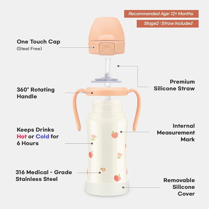 GROSMIMI Insulated 316 Stainless Steel Spill Proof Straw Cup, Water bottle with Flip Top for Toddlers, BPA Free (air balloon, 10oz)