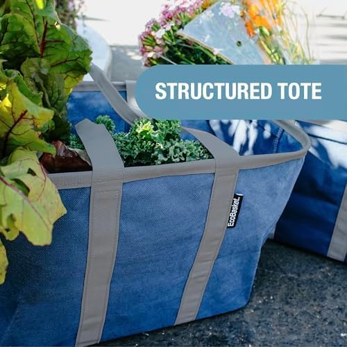 CleverMade EcoBasket 30L Collapsible Tote Basket 3 Pack – Reusable Grocery Tote That Stands Upright, Foldable Shopping Basket for Car Trunk Storage, Heavy Duty Utility Bag, 30 lb Capacity - Black