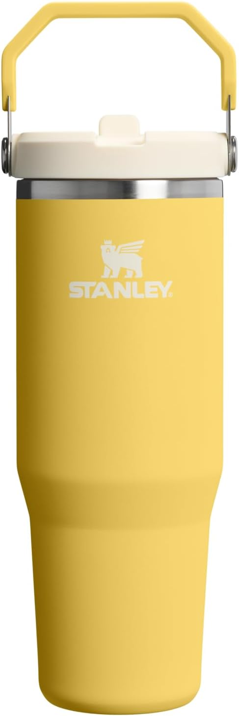 STANLEY IceFlow 2.0 Flip Straw Tumbler with Handle 30 oz | Twist On Lid and Flip Up Straw | Leakproof Water Bottle | Insulated Stainless Steel | BPA-Free | Daffodil
