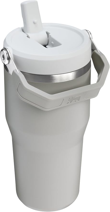 STANLEY IceFlow 2.0 Flip Straw Tumbler with Handle 20 oz | Twist On Lid and Flip Up Straw | Leak Resistant Water Bottle | Insulated Stainless Steel | BPA-Free | Ash