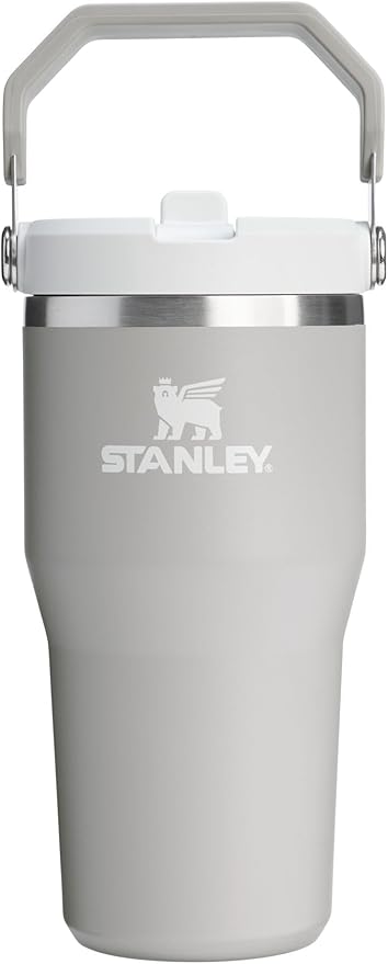 STANLEY IceFlow 2.0 Flip Straw Tumbler with Handle 20 oz | Twist On Lid and Flip Up Straw | Leak Resistant Water Bottle | Insulated Stainless Steel | BPA-Free | Ash