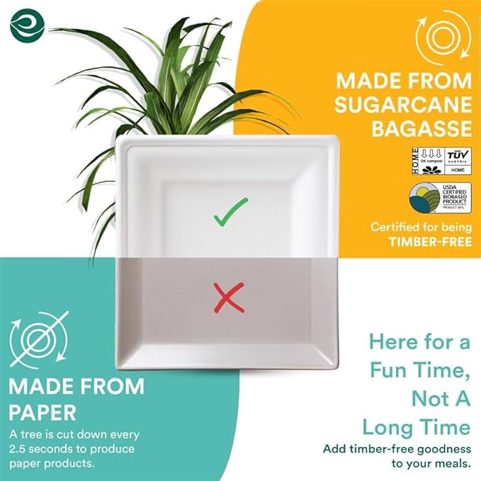 ECO SOUL Compostable Paper Plates 10 Inch (200 Count) Heavy Duty Disposable Dessert Plates, Eco-Friendly Sugarcane Bagasse Small Plates For Appetizer- White