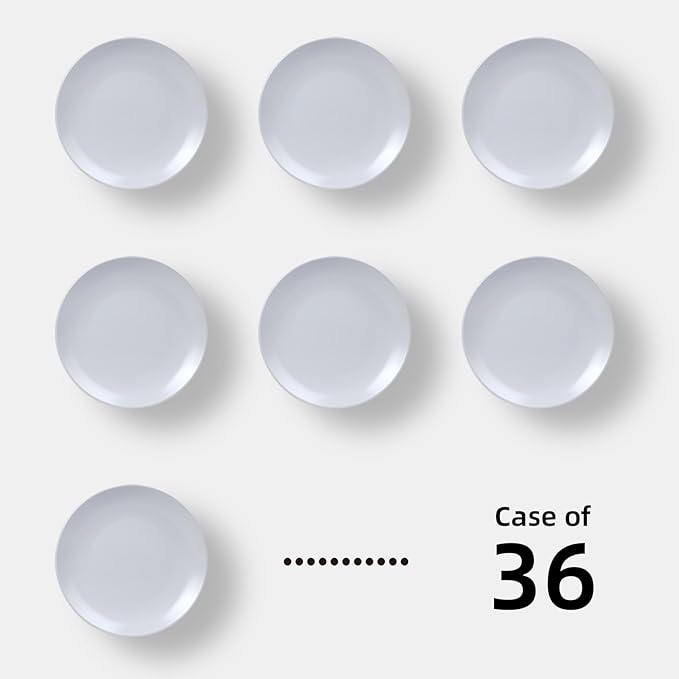 Stoneware Coupe Commercial Grade Dinnerware, Matte White Plate 6.5", Case of 36