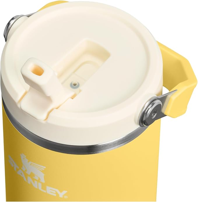STANLEY IceFlow 2.0 Flip Straw Tumbler with Handle 30 oz | Twist On Lid and Flip Up Straw | Leakproof Water Bottle | Insulated Stainless Steel | BPA-Free | Daffodil