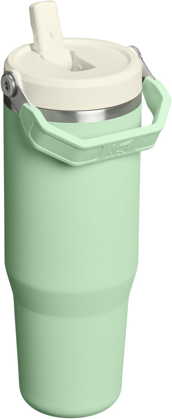 STANLEY IceFlow 2.0 Flip Straw Tumbler with Handle 30 oz | Twist On Lid and Flip Up Straw | Leak Resistant Water Bottle | Insulated Stainless Steel | BPA-Free | Pistachio