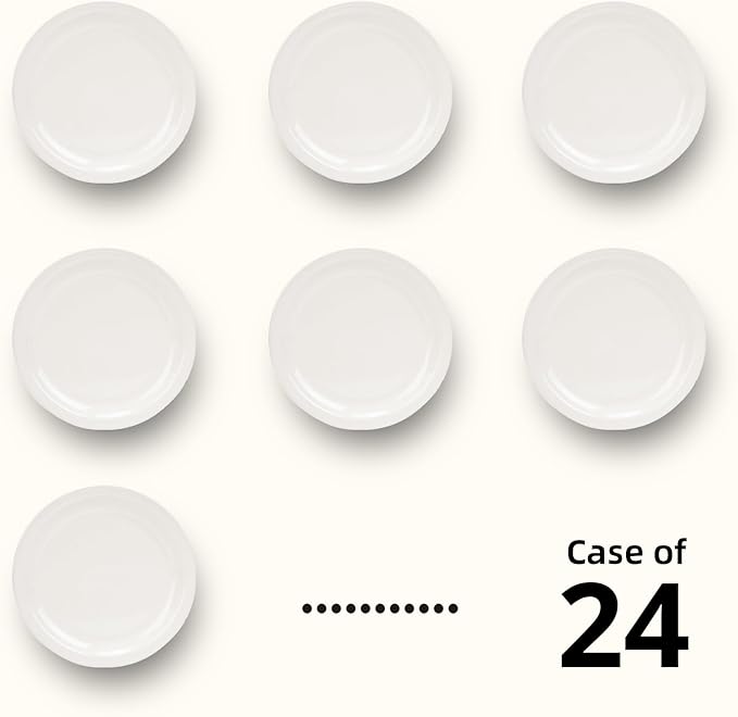 Stoneware Narrow Rim Commercial Grade Dinnerware America White, Plate 9 5/8", Case of 24