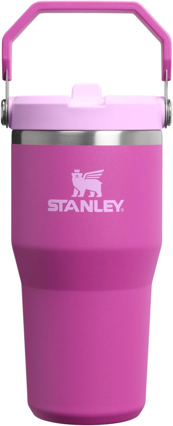STANLEY IceFlow 2.0 Flip Straw Tumbler with Handle 20 oz | Twist On Lid and Flip Up Straw | Leakproof Water Bottle | Insulated Stainless Steel | BPA-Free | Dark Blossom