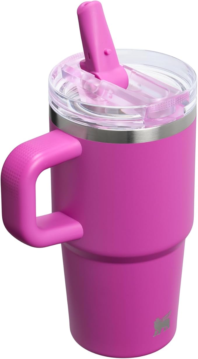 STANLEY Quencher ProTour Flip Straw Tumbler with Leakproof Lid | Built-In Straw & Handle | Cupholder Compatible for Travel | Insulated Stainless Steel Cup | BPA-Free