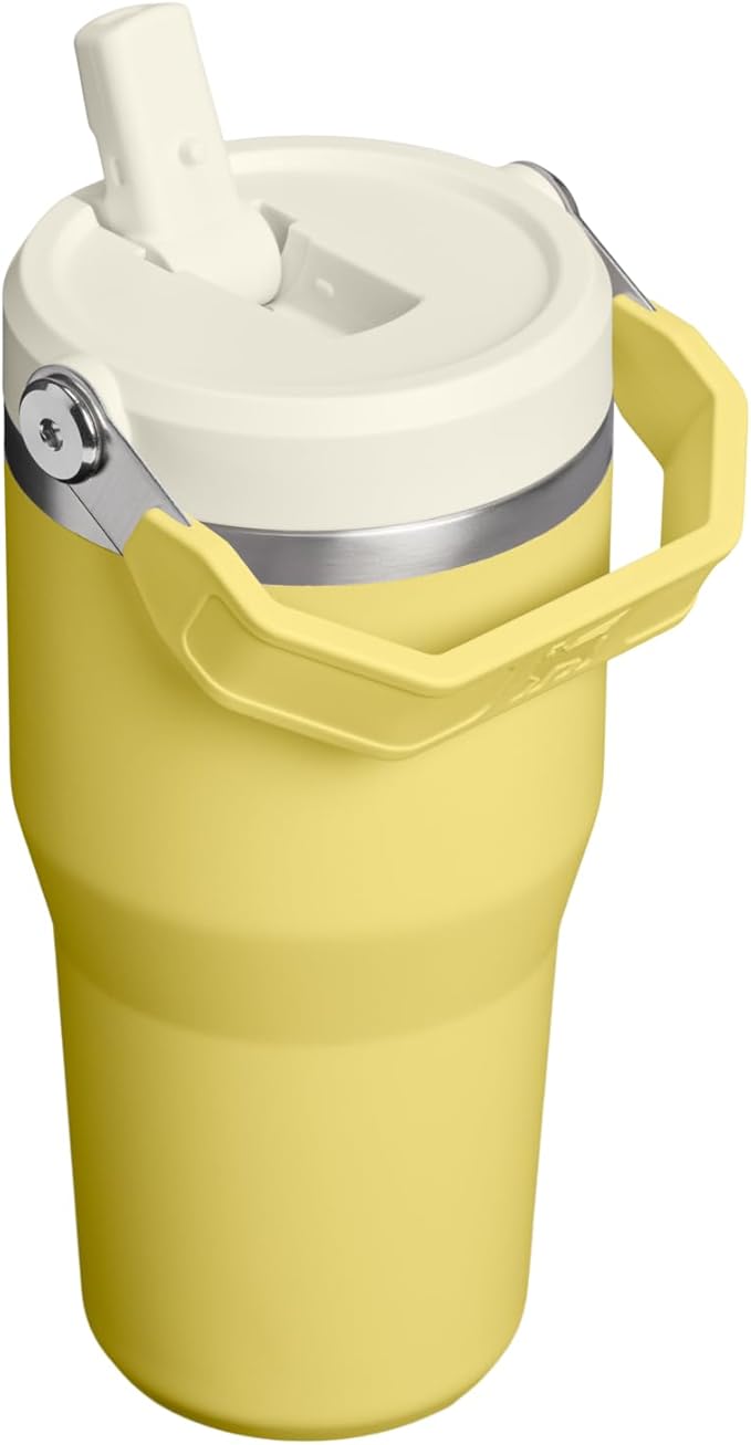STANLEY IceFlow 2.0 Flip Straw Tumbler with Handle 20 oz | Twist On Lid and Flip Up Straw | Leakproof Water Bottle | Insulated Stainless Steel | BPA-Free | Daffodil
