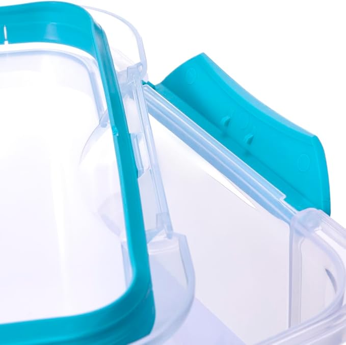 Décor Large Food Storage Containers | 2 Pack - 2 x 1.4L | Reusable Plastic Airtight Food Containers | Fresh Seal Clips | Microwave, Freezer & Dishwasher Safe | 1.4L Capacity