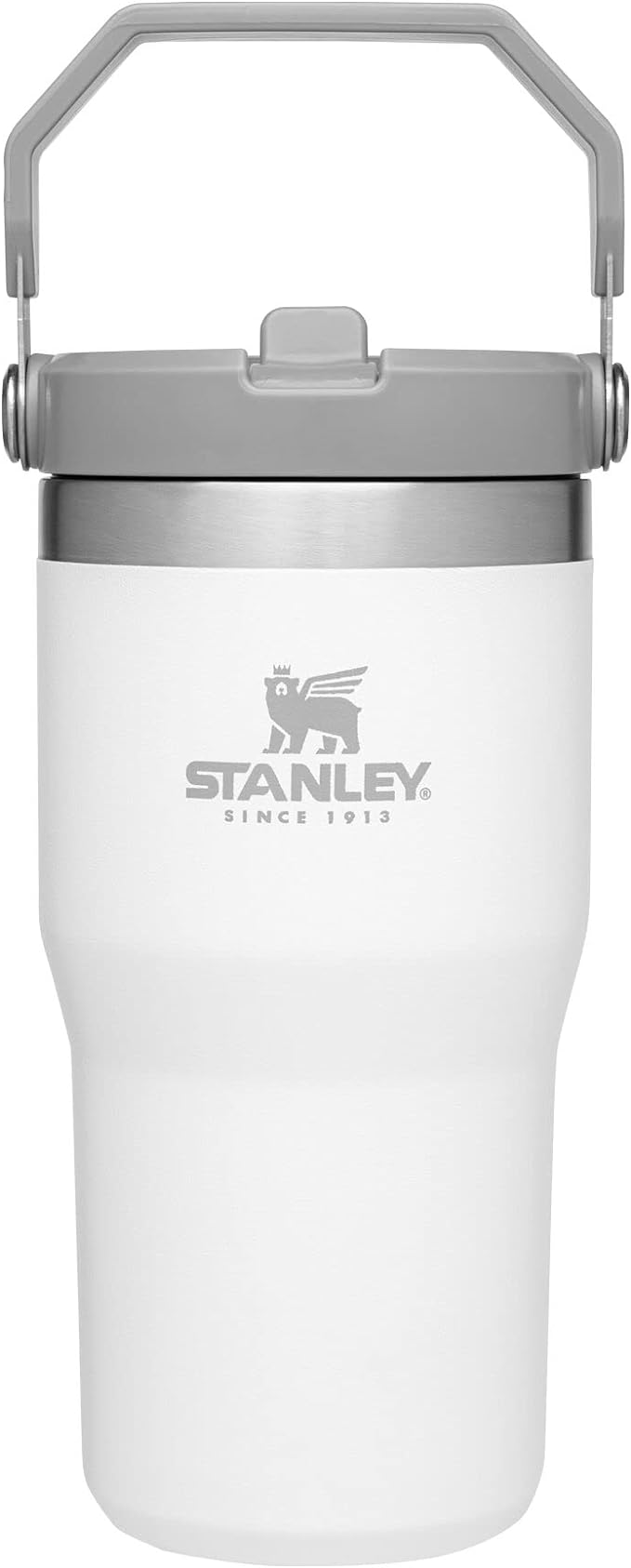 STANLEY IceFlow Flip Straw Tumbler with Handle 20 oz | Twist On Lid and Flip Up Straw | Leak Resistant Water Bottle | Insulated Stainless Steel |BPA-Free | Polar