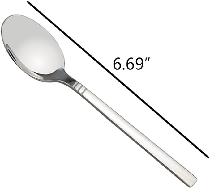 12-Piece Stainless Steel Teaspoon Dessert Spoons