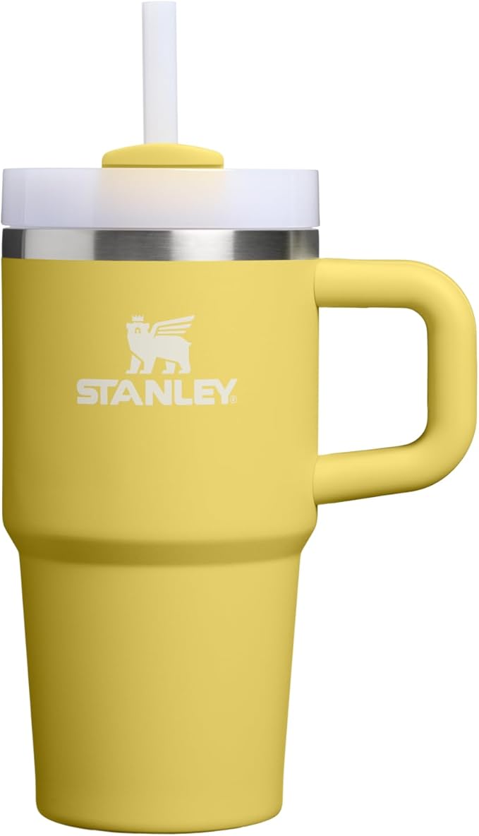 STANLEY Quencher H2.0 Tumbler with Handle and Straw 20 oz | Flowstate 3-Position Lid | Cup Holder Compatible for Travel | Insulated Stainless Steel Cup | BPA-Free | Daffodil