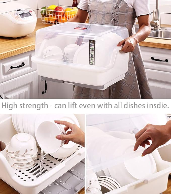 Tomorotec Medium Size Dish Drying Rack and Drain Board with Lid Cover, 16" x 12.2" x 10.6" Nursing Bottle Holder, Kitchen Plate Cup Tray Cutlery Drainer