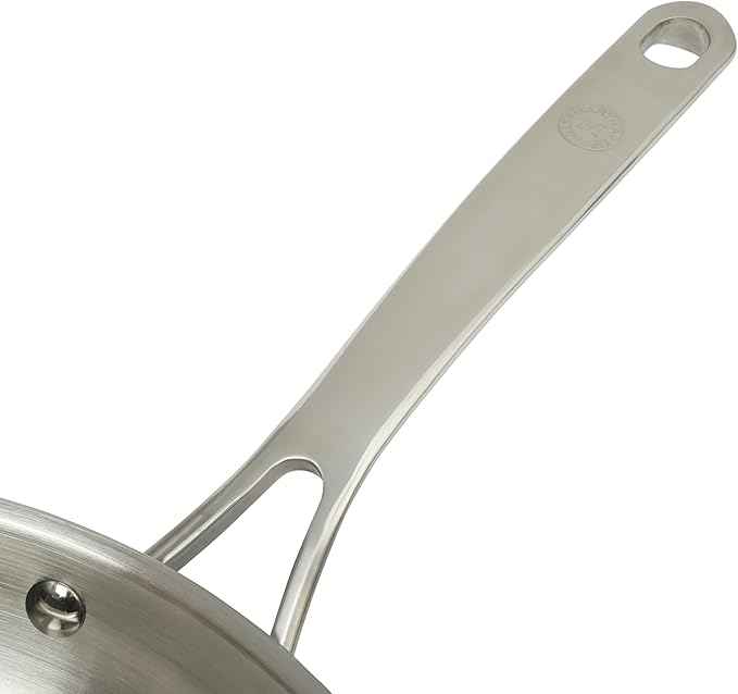 Martha Stewart Castelle 10" Stainless Steel Frying Pan Non Toxic Fry Pan Skillet