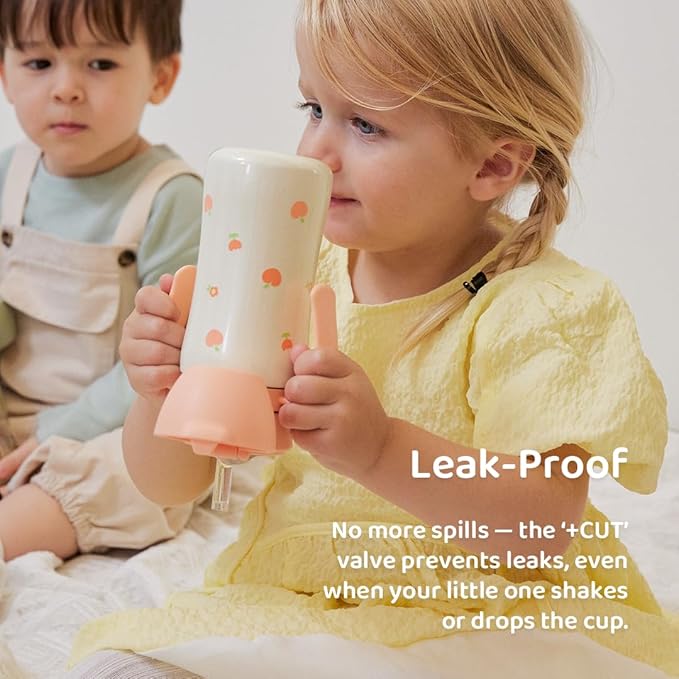 GROSMIMI Insulated 316 Stainless Steel Spill Proof Straw Cup, Water bottle with Flip Top for Toddlers, BPA Free (air balloon, 6oz)