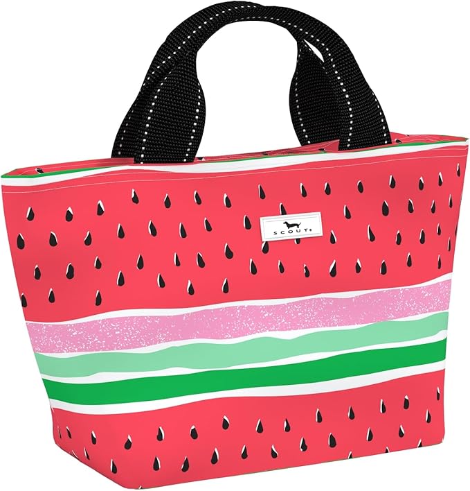 SCOUT Nooner Insulated Lunch Box for Women with 6 Can Capacity - Lightweight Work Lunch Bag for Teachers and Nurses - Soft Cooler for Beach Travel and Picnic