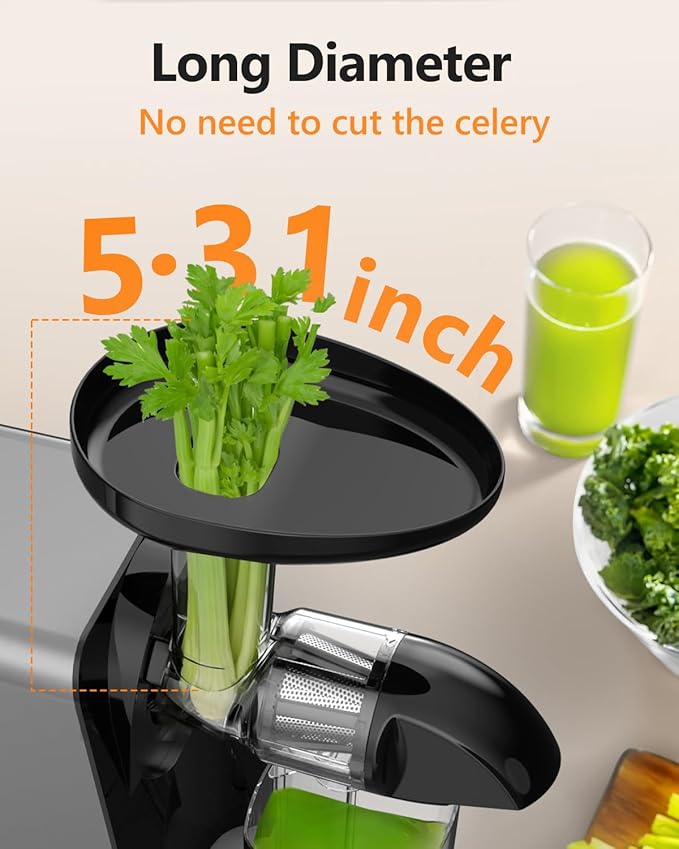 Cold Press Slow Juicer for Fruits & Vegetables Celery Carrot Ginger, Masticating Juicer Machine Soft Hard Mode, Reverse Function,250W Motor, Easy To Clean, Fresh Orange Juice Extractor