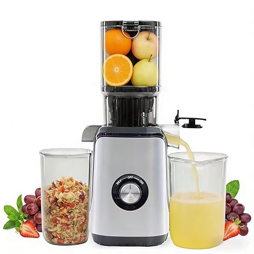 HealSmart Cold Press Masticating Juicer, Wide Feed Chute Accommodates Whole Produce, Premium Juice Extractor with High Yield, BPA-Free & Easy Clean, Silver