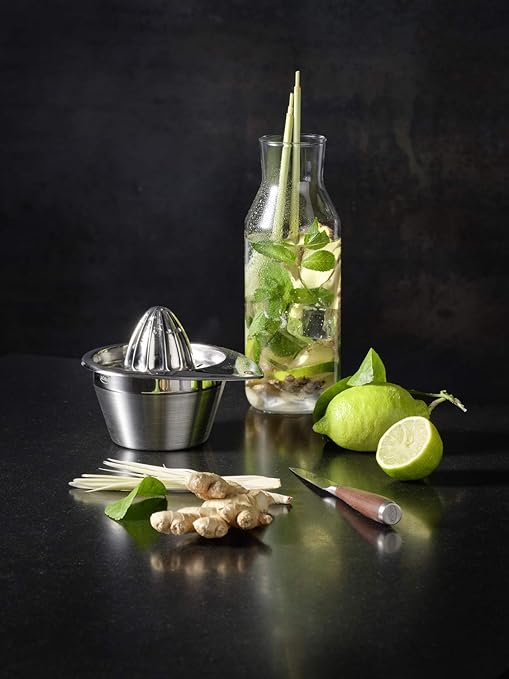 Rosle 12802 Stainless Steel Manual Citrus Lemon Reamer & Juicer with Strainer