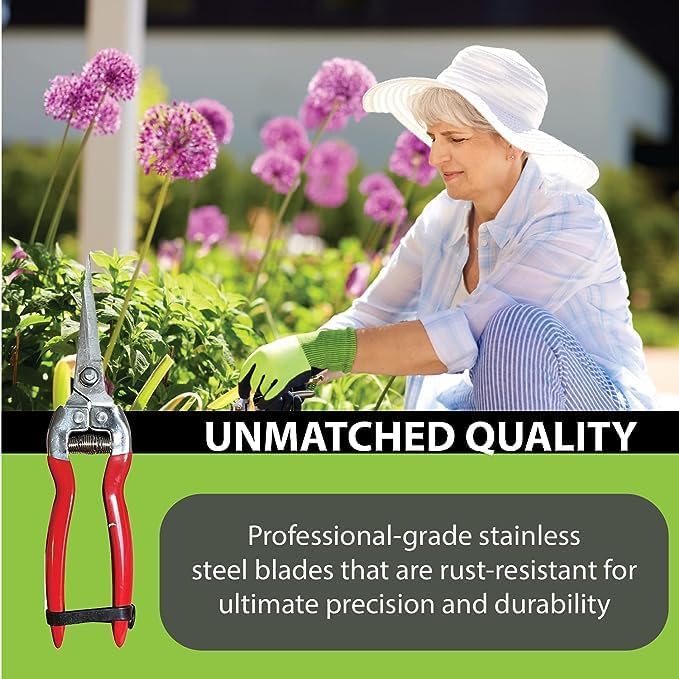 GARDEN GURU Straight Stainless Steel Pruner Pruning Shears Clippers Snips – Sharp Bonsai Cutter Plant Trimming Scissors – Straight Blade – Great for Roses Flowers Herbs Fruits - 1 Case (50 Pcs)
