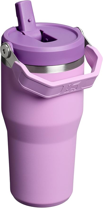 STANLEY IceFlow 2.0 Flip Straw Tumbler with Handle 20 oz | Twist On Lid and Flip Up Straw | Leak Resistant Water Bottle | Insulated Stainless Steel | BPA-Free | Lilac