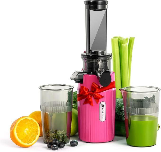 Ventray Ginnie Mini Cold Press Juicer, Small Slow Masticating Juicer for Vegetables and Fruits, High Juice Yield, Easy to Clean, Space-Saving, Fit for Personal/Travel/Picnic/Office - Pink
