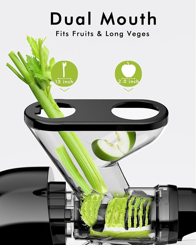 SIFENE Cold Press Juicer Machine, Mini Slow Masticating Juicer with Dual Feed Chute, Compact Electric Juice Extractor for Celery Ginger & Fruit, Easy Clean, Black