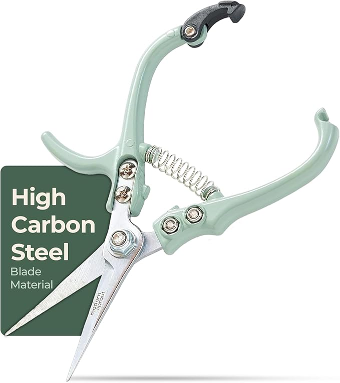 Modern Sprout Pruning Shears - Herb Snipping Scissors- Lightweight Gardening Tools W/Easy Lock - Flower Cutter Garden Shears - Carbon Steel Blade + Reusable Holster (Green, 1-Pack)