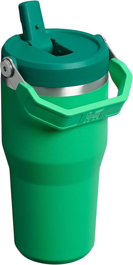 STANLEY IceFlow 2.0 Flip Straw Tumbler with Handle 20 oz | Twist On Lid and Flip Up Straw | Leakproof Water Bottle | Insulated Stainless Steel | BPA-Free | Meadow