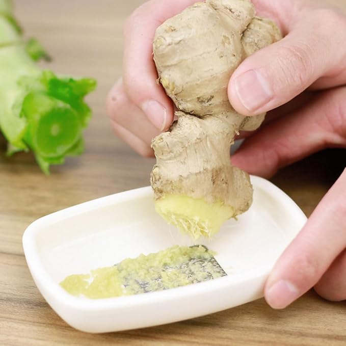 Stainless Steel Ginger Garlic Grater Handheld Kitchen Tool for Easy Mincing and Grating of Ginger Garlic Fruits and Vegetables
