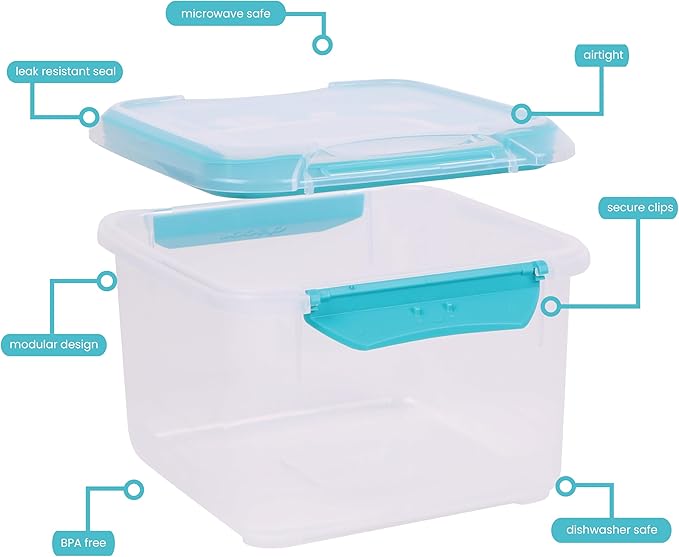 Décor Large Food Storage Containers | 2 Pack - 2 x 1.4L | Reusable Plastic Airtight Food Containers | Fresh Seal Clips | Microwave, Freezer & Dishwasher Safe | 1.4L Capacity