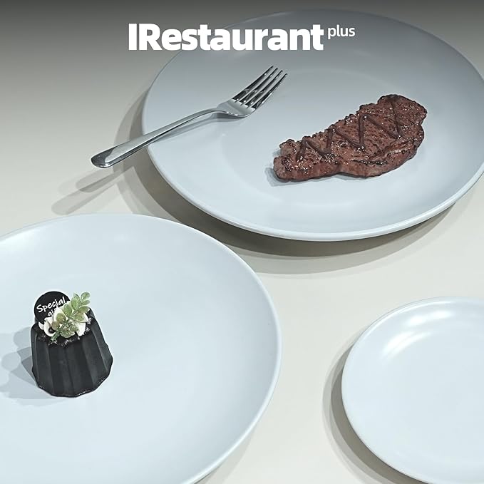 Stoneware Coupe Commercial Grade Dinnerware, Matte White, Plate 10.5", Case of 12