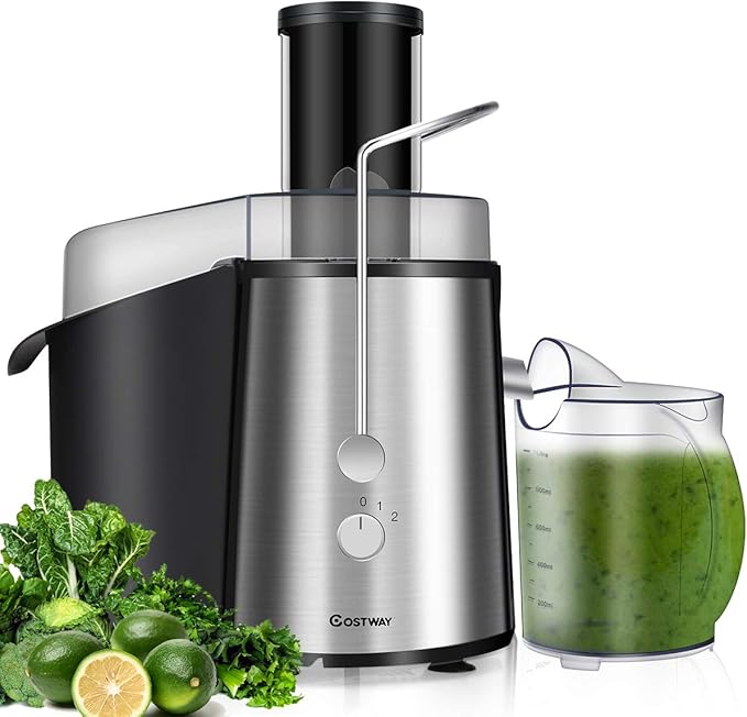 COSTWAY Juice Extractor, 75MM Wide Mouth Stainless Steel Juicer Machines, 2-Speed Setting High Speed Masticating Juicer Machine for Fruits and Vegetable with Slag Pot and Juice Jug, BPA-Free
